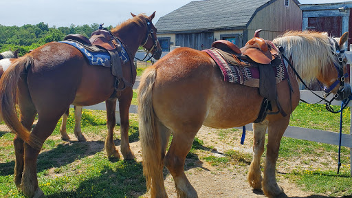 Piscataway Riding Stables Inc