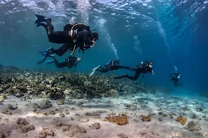 Athos Scuba Diving center Ouranoupoli Padi 5 stars Resort image