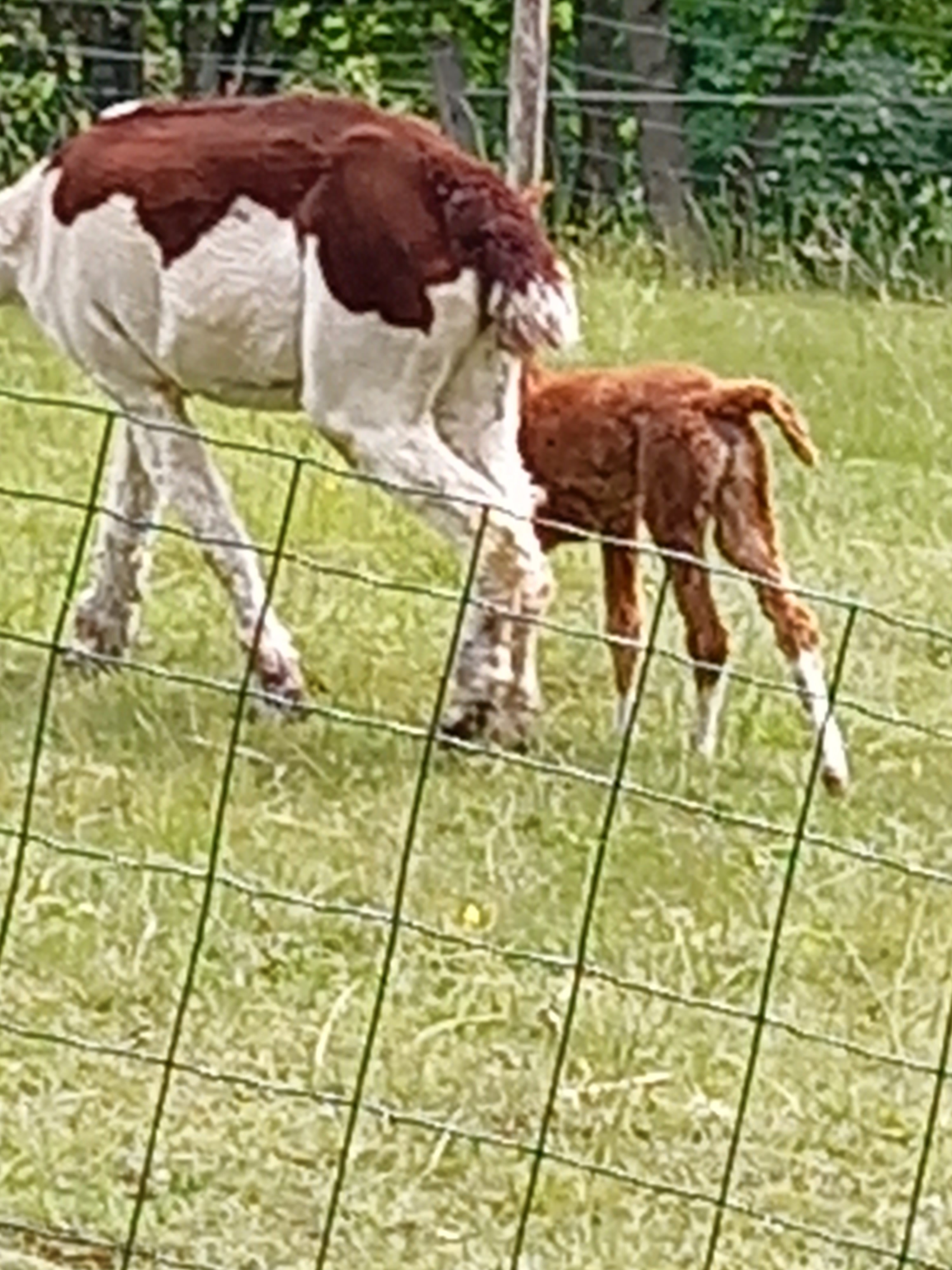Photo n° 10 de l'avis de durduret.i fait le 06/06/2022 à 14:20