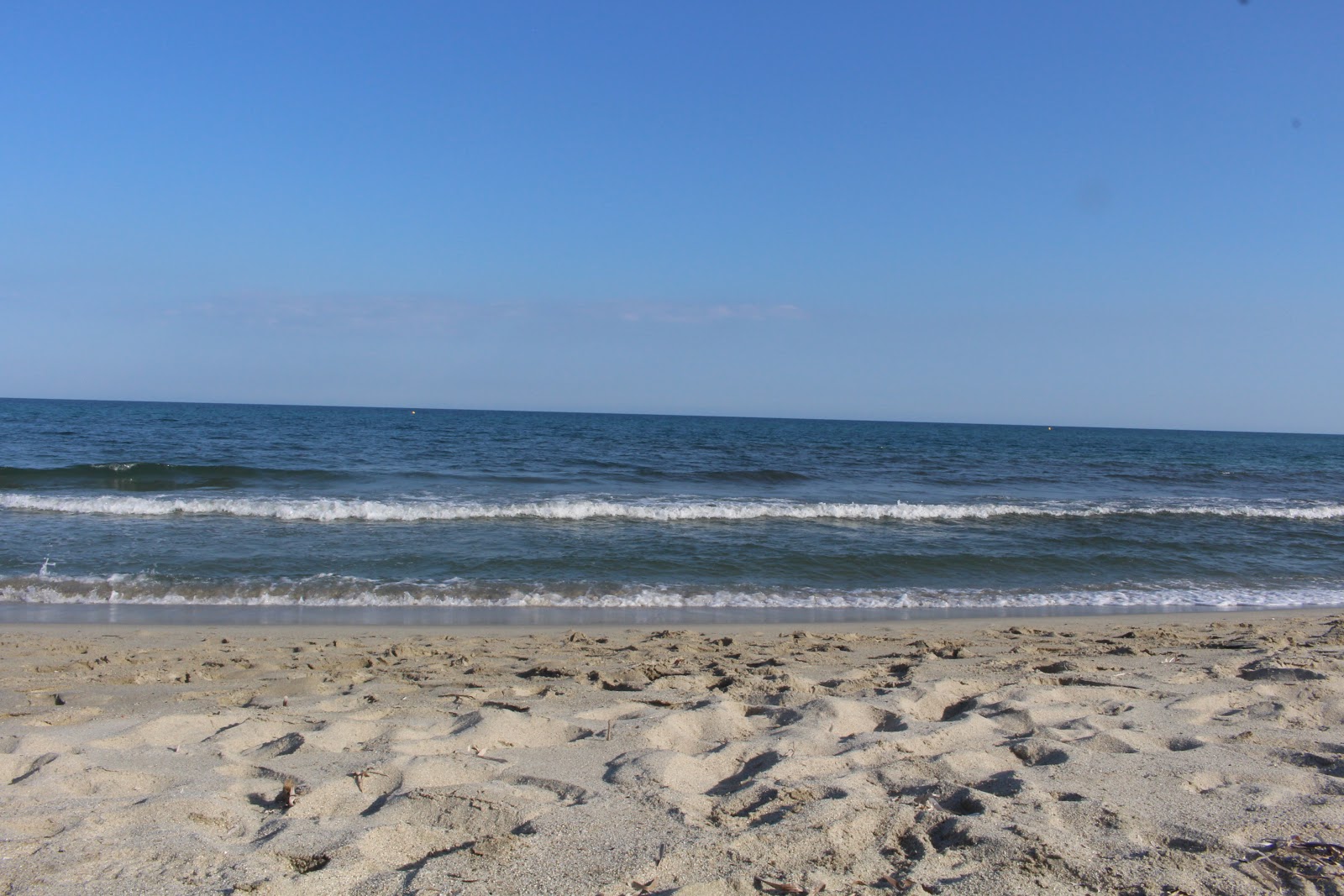 Foto de Plage Pinia con playa amplia