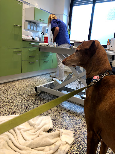 Tierarztpraxis Heidenoldendorf unter Detmold, 