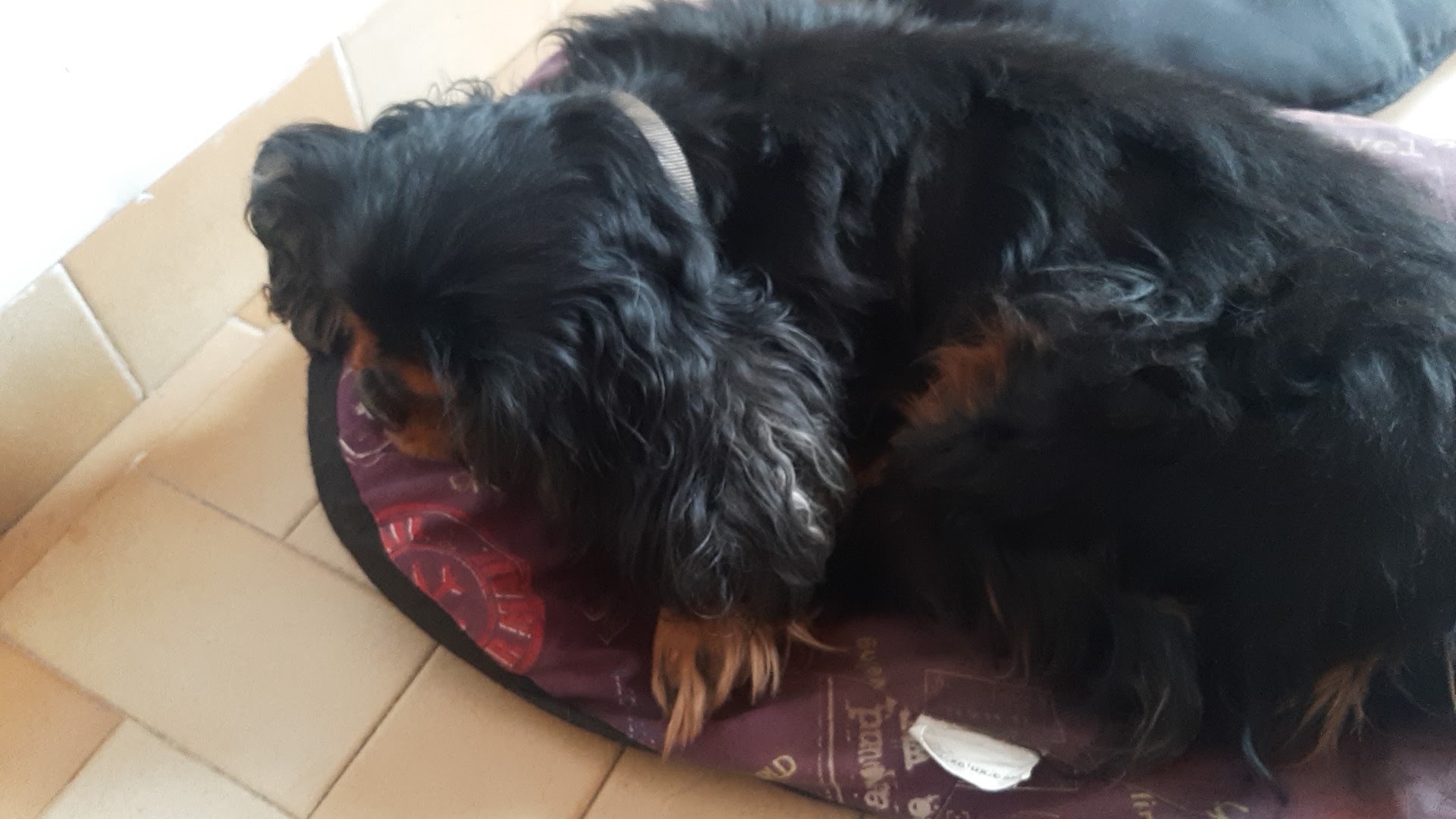 Photo n° 1 de l'avis de Thierry.a fait le 14/09/2019 à 13:58