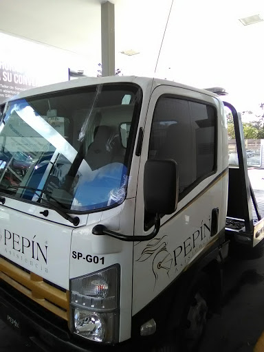 Isuzu Auto Camiones