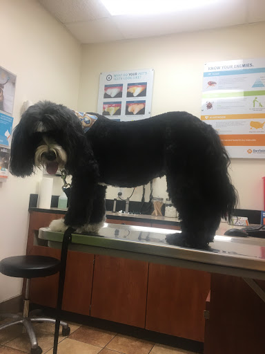 Pet Supply Store «PetSmart», reviews and photos, 12051 W Sunrise Blvd, Plantation, FL 33323, USA