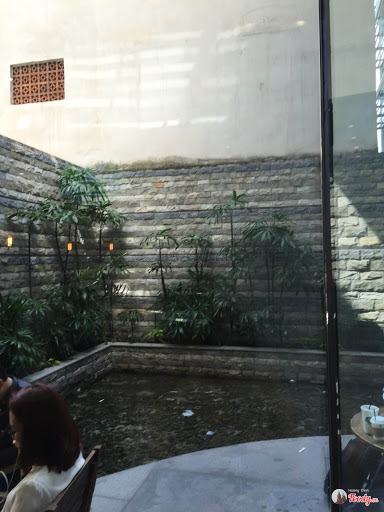 Top 20 cửa hàng phúc long Huyện Thủy Nguyên Hải Phòng 2022