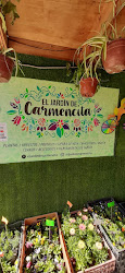 El Jardín De Carmencita