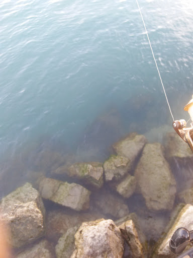 Park «Elizabeth Park», reviews and photos, 4250 Elizabeth Dr, Trenton, MI 48183, USA