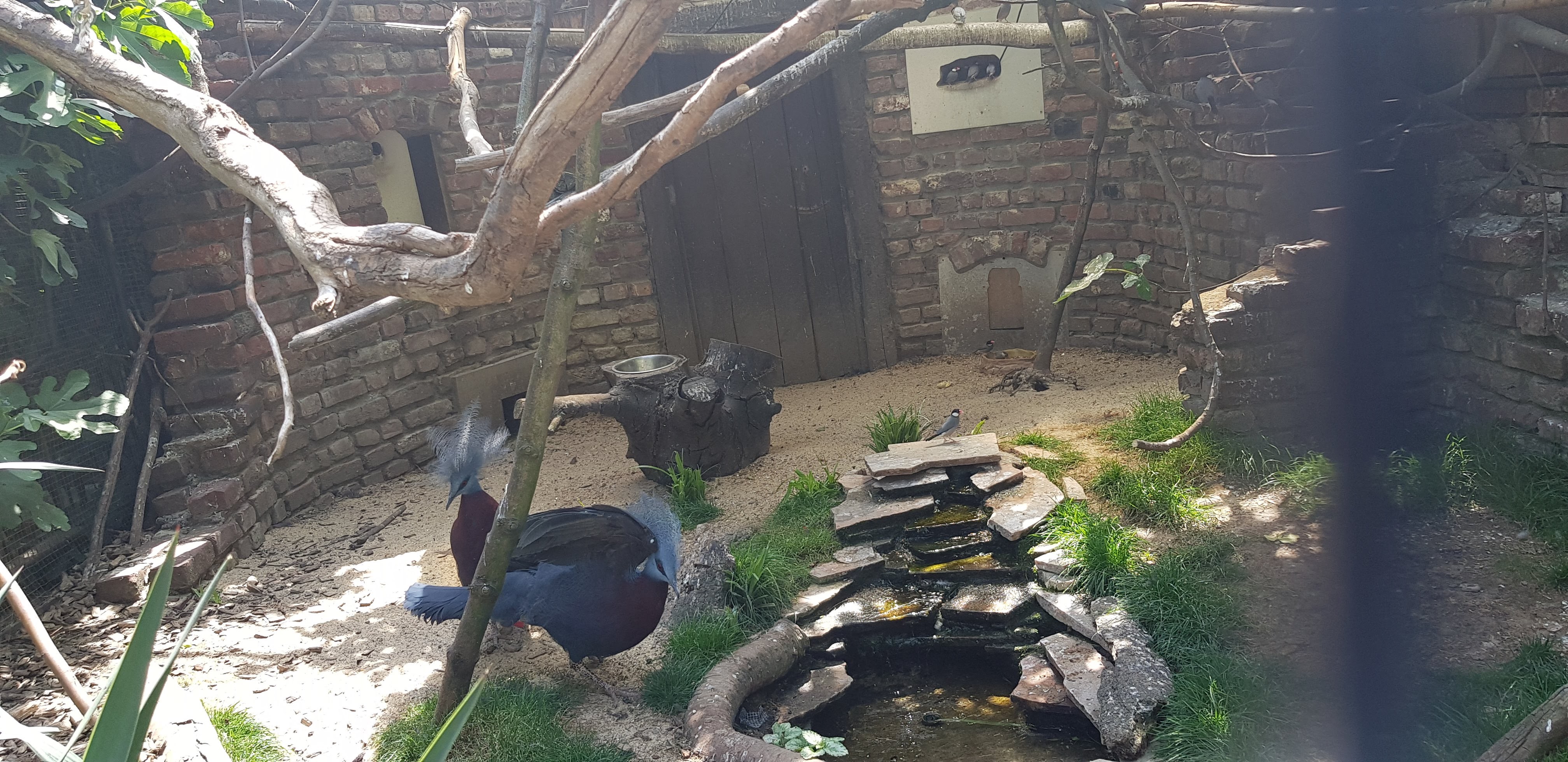 Photo n° 40 de l'avis de Nuk3d.t fait le 13/10/2019 à 18:58