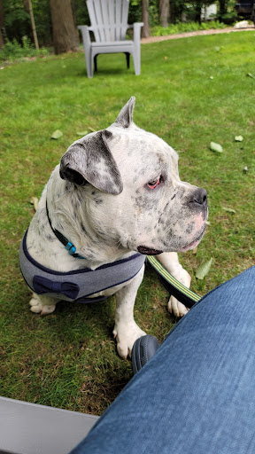 Pet Supply Store «Petco Animal Supplies», reviews and photos, 1065 Kennedy Rd, Windsor, CT 06095, USA