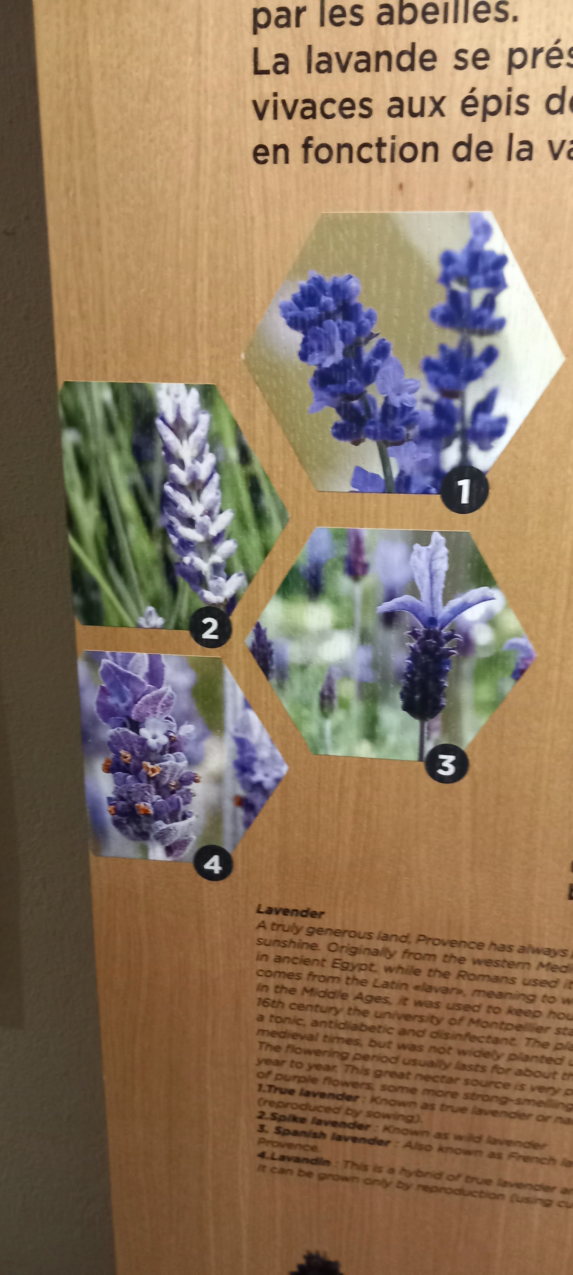 Photo n° 10 de l'avis de Cabeau.a fait le 11/07/2023 à 09:52