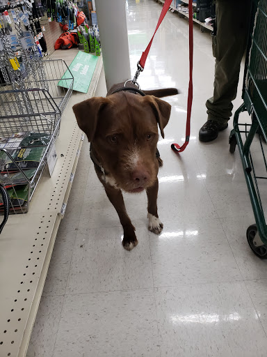 Pet Supply Store «Pet Supplies Plus», reviews and photos, 1856 Hendersonville Rd a, Asheville, NC 28803, USA