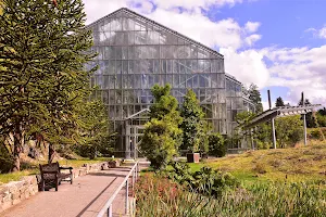 Osnabrueck University Botanical Garden image