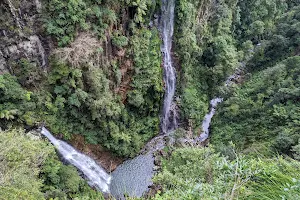 Coomera Falls image