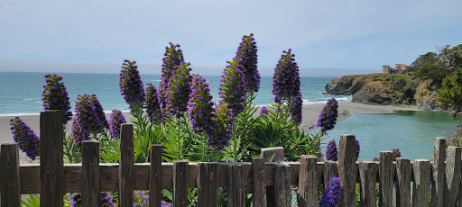 Cafe «Trinks Cafe & Bakery», reviews and photos, 39140 CA-1, Gualala, CA 95445, USA