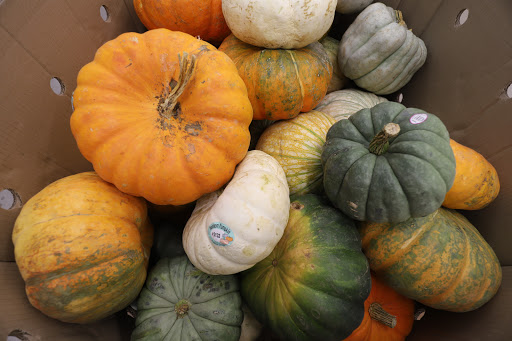 Grocery Store «Food Lion», reviews and photos, 2960 Marshall Hall Rd, Bryans Road, MD 20616, USA