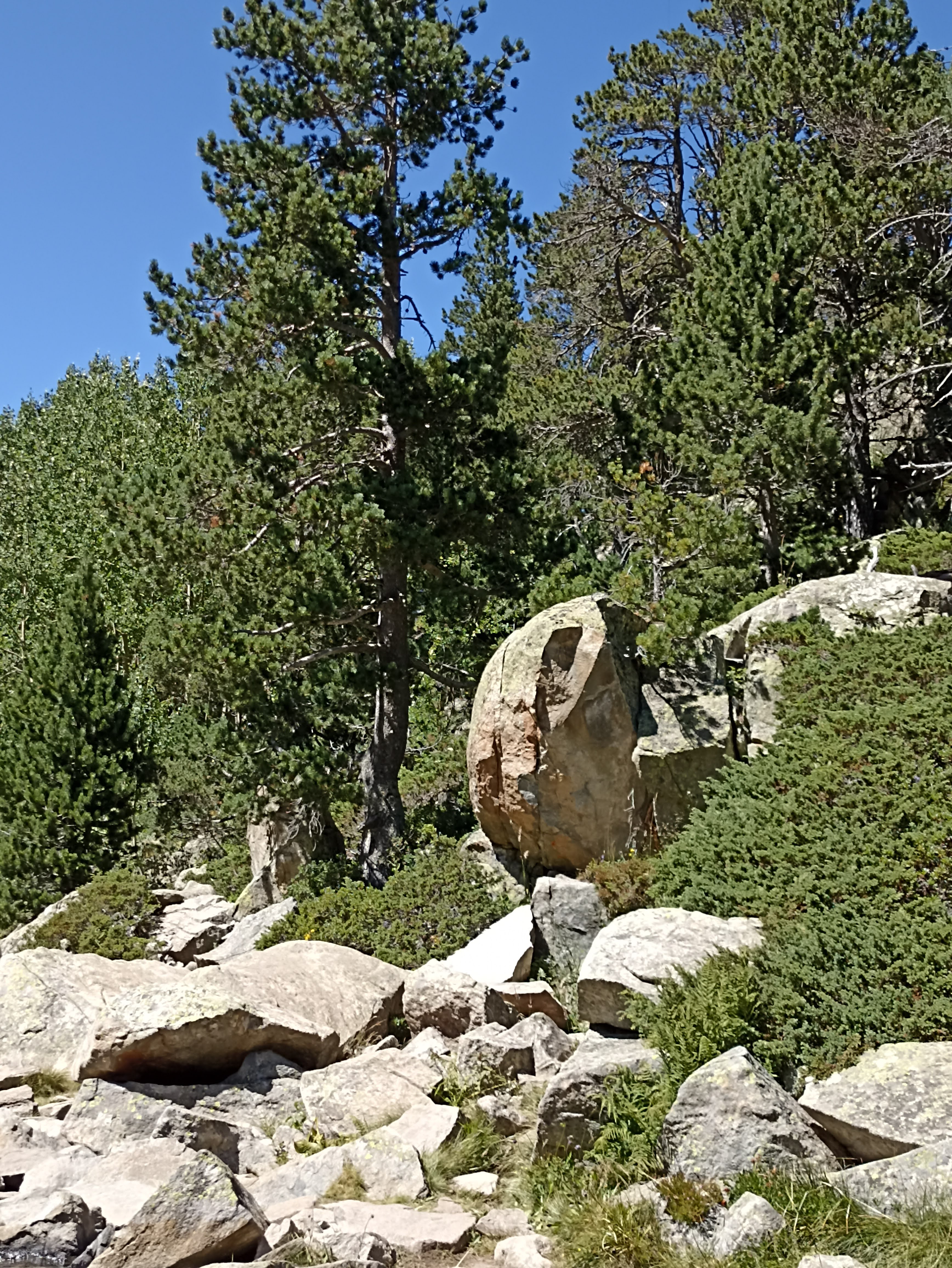 Photo n° 11 de l'avis de FIS.� fait le 15/08/2023 à 14:11