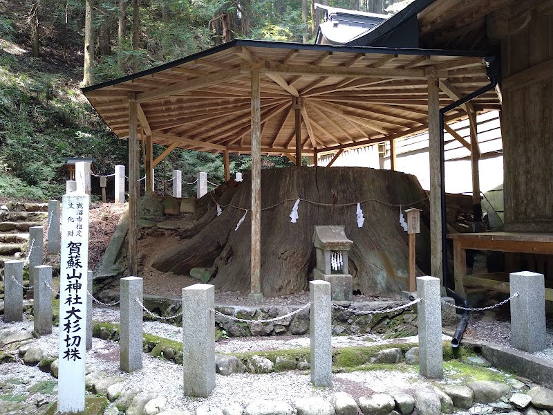 賀蘇山神社(神代杉切株)