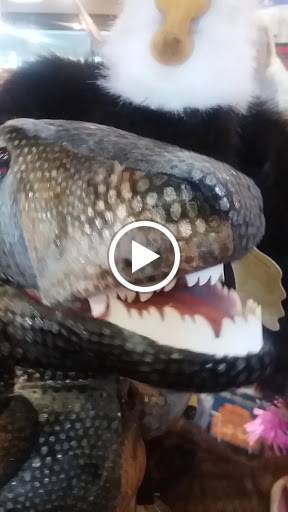 Book Store «The Twig Book Shop», reviews and photos, 306 Pearl Pkwy #106, San Antonio, TX 78215, USA