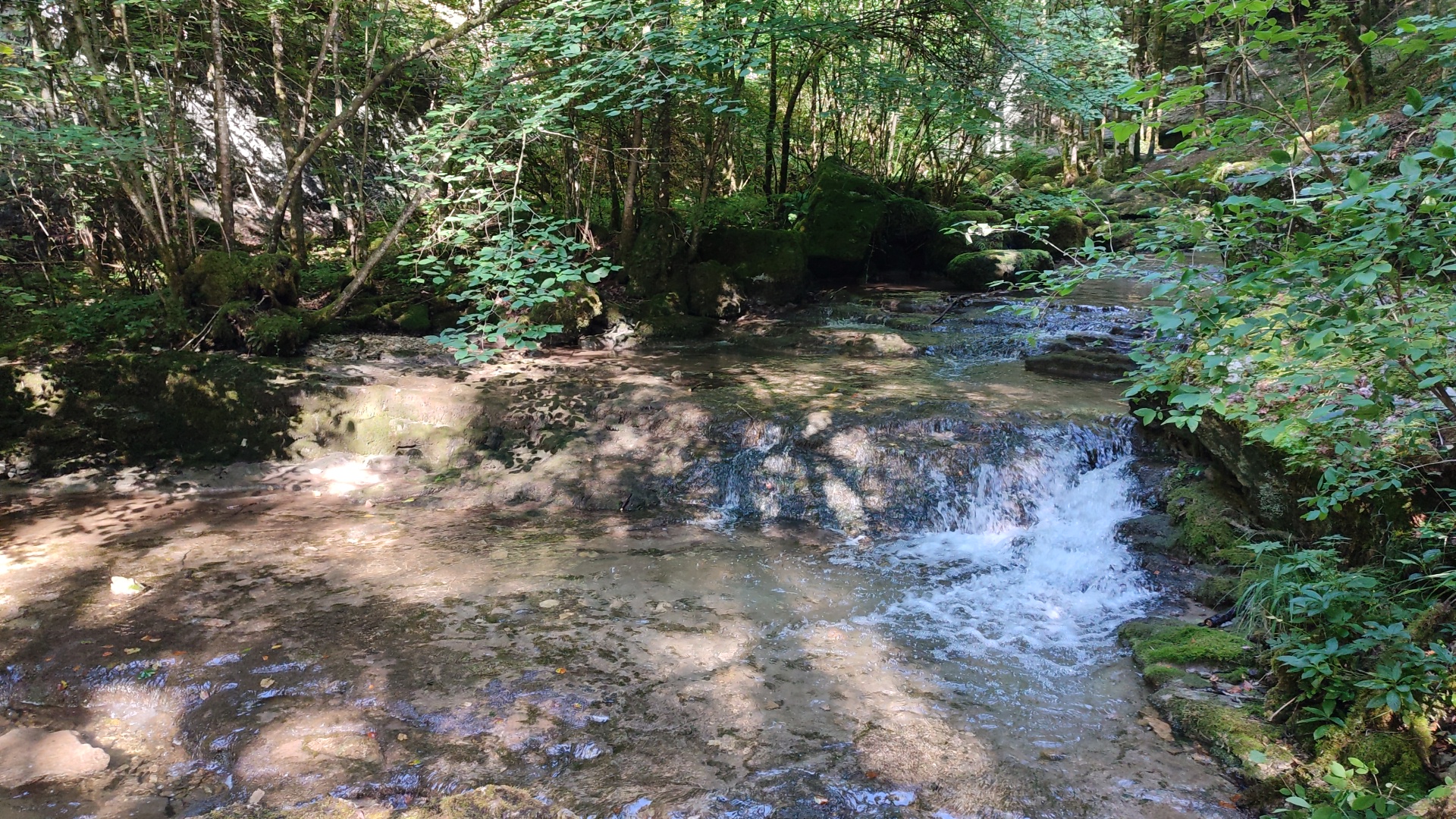 Photo n° 3 de l'avis de Clair.e fait le 12/08/2023 à 21:58