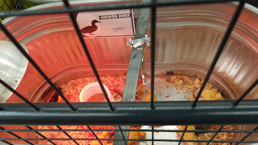 Home Improvement Store «Tractor Supply Co.», reviews and photos, 911 Griffin Ave, Enumclaw, WA 98022, USA