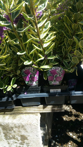 General Contractor «Laurel Bay Gardens Inc», reviews and photos, 88493 US-101, Florence, OR 97439, USA