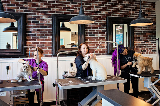 Pet Store «Market Street PET DEPOT», reviews and photos, 2979 S Market St, Gilbert, AZ 85295, USA