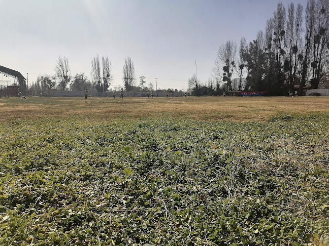 Opiniones de Cancha San León en San Bernardo - Campo de fútbol