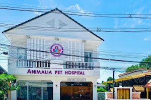 Animalia Pet Hospital image