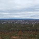 Photo n° 3 de l'avis de Mirjana.o fait le 21/02/2023 à 00:44 pour Chapelle des bois à Wintzenheim