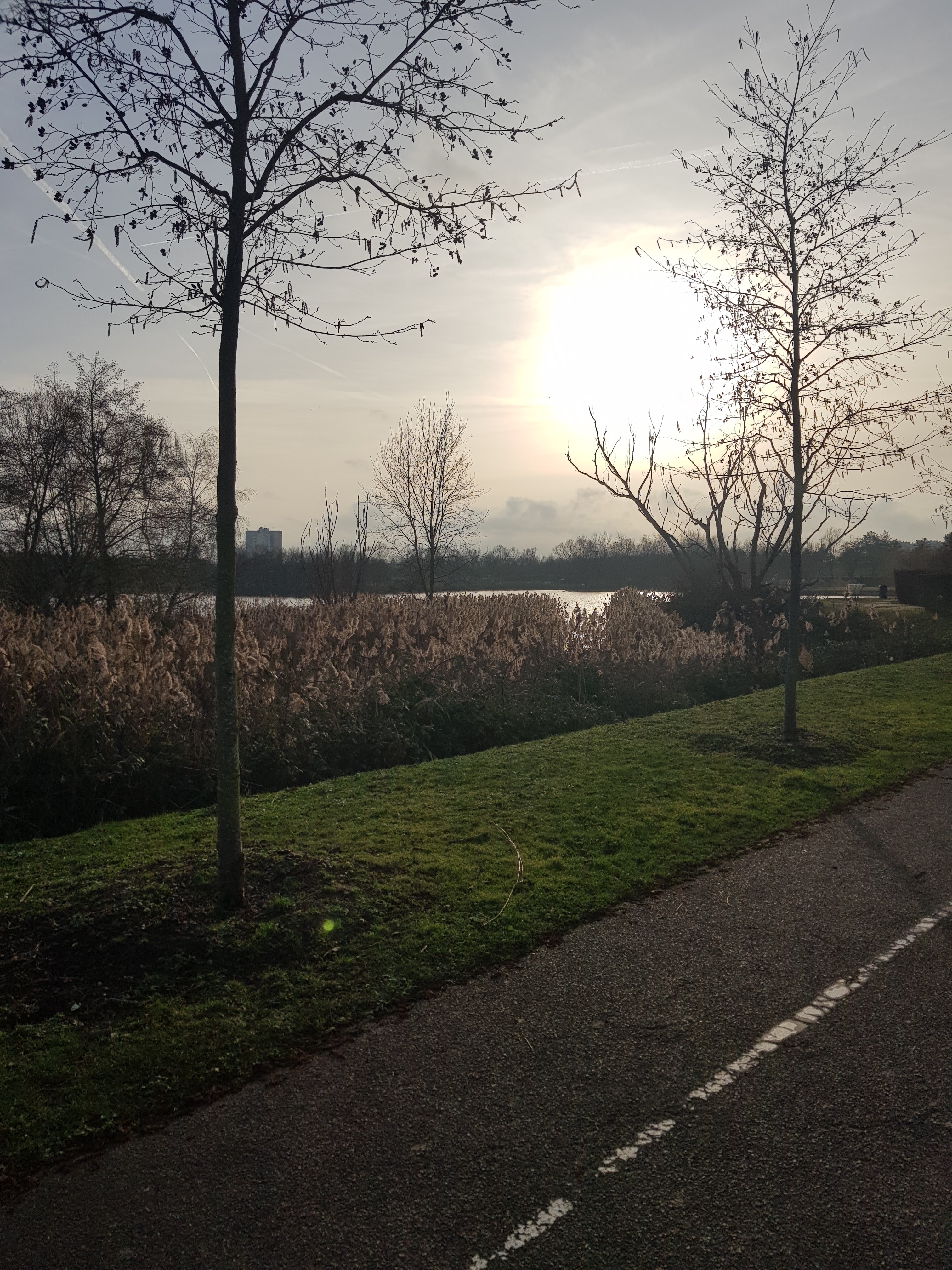 Photo n° 1 de l'avis de stéphane.l fait le 26/01/2020 à 18:23
