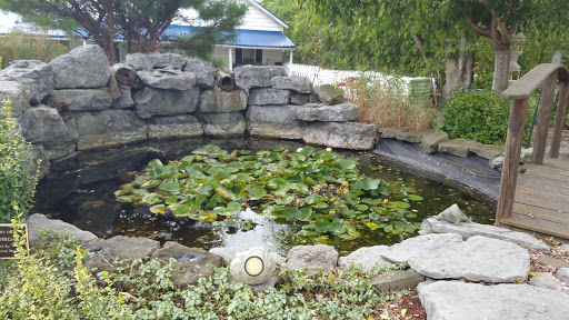 Produce Market «Maiers Homestead Farm Market», reviews and photos, 5672 E Avon Lima Rd, Avon, NY 14414, USA