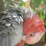 Photo n°6 de l'avis de diego.a fait le 23/08/2023 à 16:07 sur le  Parc Gallorose à Loc. Cedrino