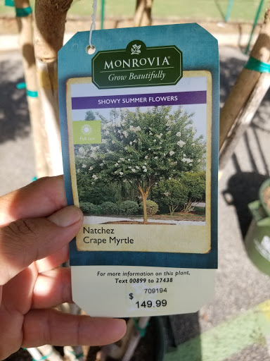 Garden Center «Pike Nurseries», reviews and photos, 6050 Bethelview Rd, Cumming, GA 30040, USA