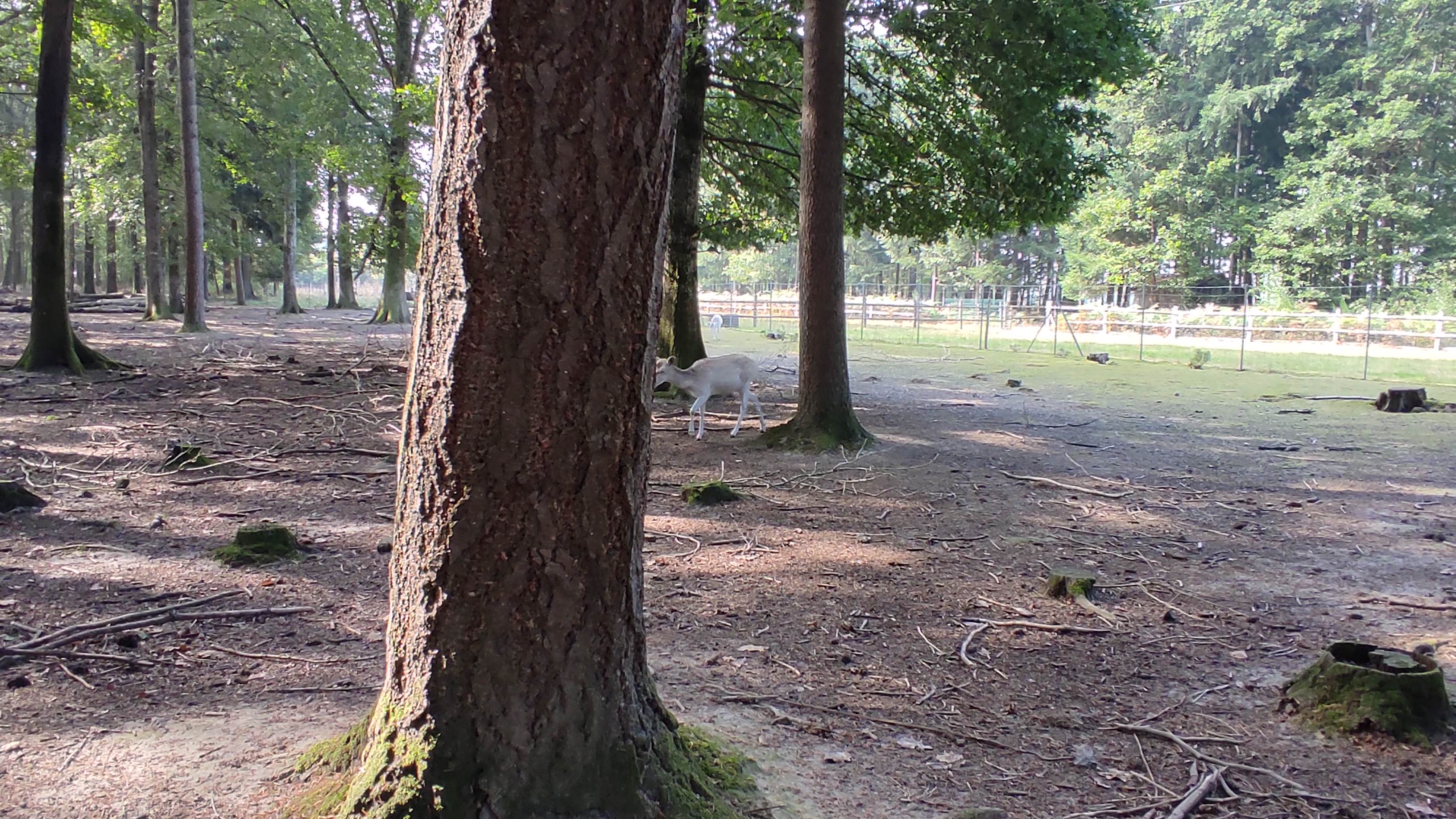Photo n° 4 de l'avis de AnnSo.u fait le 21/09/2021 à 21:17