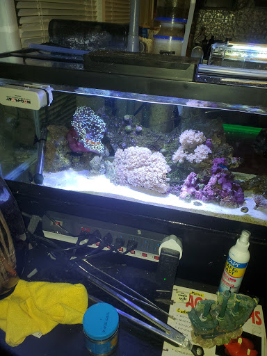 Pet Supply Store «Reef Plus», reviews and photos, 935 Oak St, North Aurora, IL 60542, USA