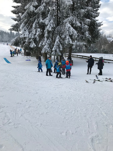 Blaue Skischule Hahnenklee UG (haftungsbeschränkt)