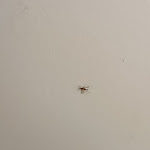 Photo n°3 de l'avis de Tamara.r fait le 01/05/2023 à 09:36 sur le  Hotel Majestic à Galzignano Terme