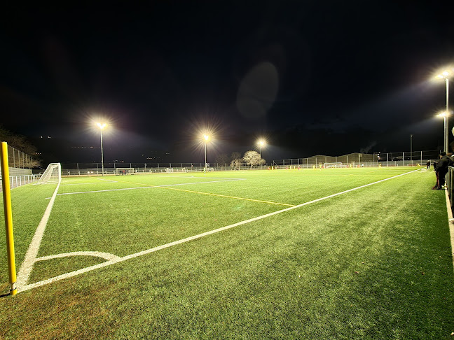 Stade de Verney - Sportstätte