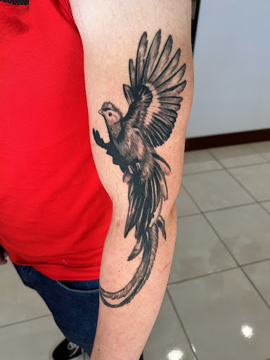 Explore greenday tattoo ideas, creative tattoo ideas in Twentynine Palms, available at Adobe Tattoo