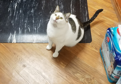 Pet Supply Store «EarthWise Pet Supply», reviews and photos, 11328 Montgomery Rd, Cincinnati, OH 45249, USA