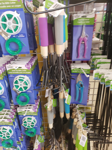 Dollar Store «Dollar Tree», reviews and photos, 2305 Colorado Blvd, Denton, TX 76205, USA