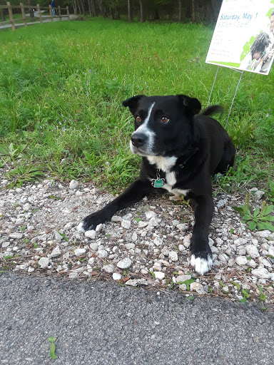 Park «Jesse H. Jones Park & Nature Center», reviews and photos, 20634 Kenswick Dr, Humble, TX 77338, USA