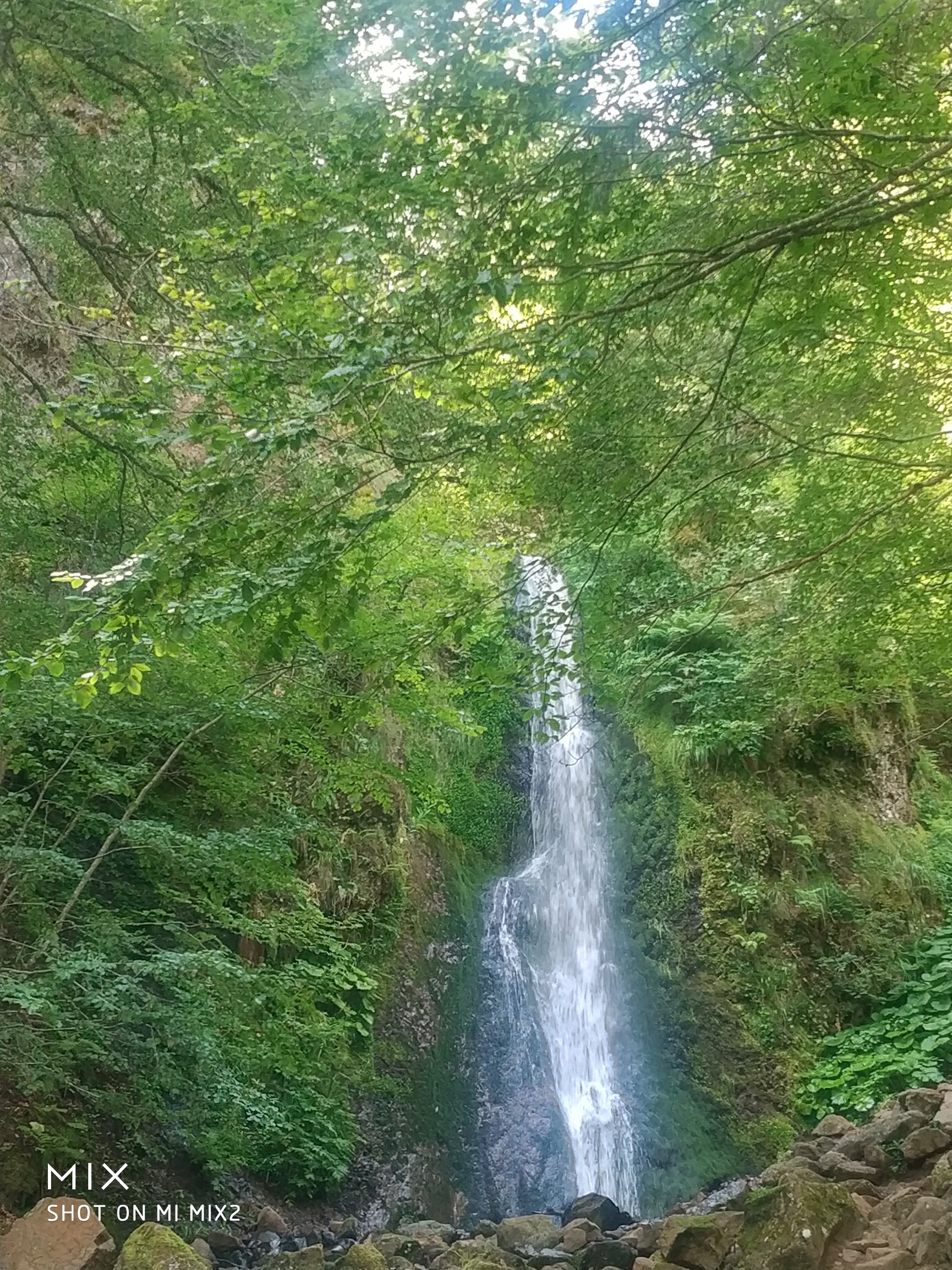 Photo n° 4 de l'avis de francois.r fait le 23/07/2020 à 20:38