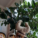 Photo n°5 de l'avis de Peter.c fait le 01/09/2021 à 20:15 sur le  Landgasthof Hotel Waldow in Guben/Niederlausitz à Guben