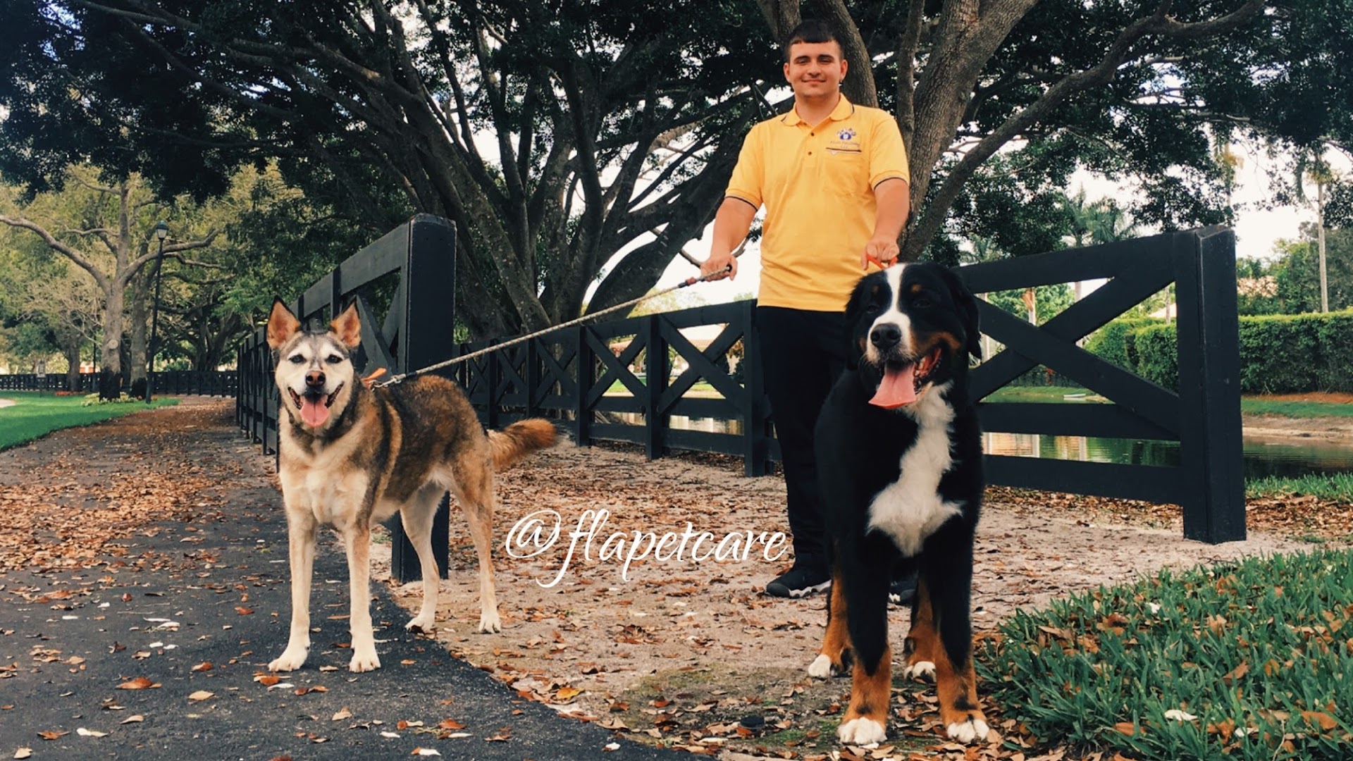 FLA Pet Care - Dog Walkers and Pet Sitters of Wellington