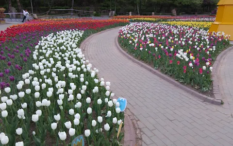 Bucheon Botanical Garden image