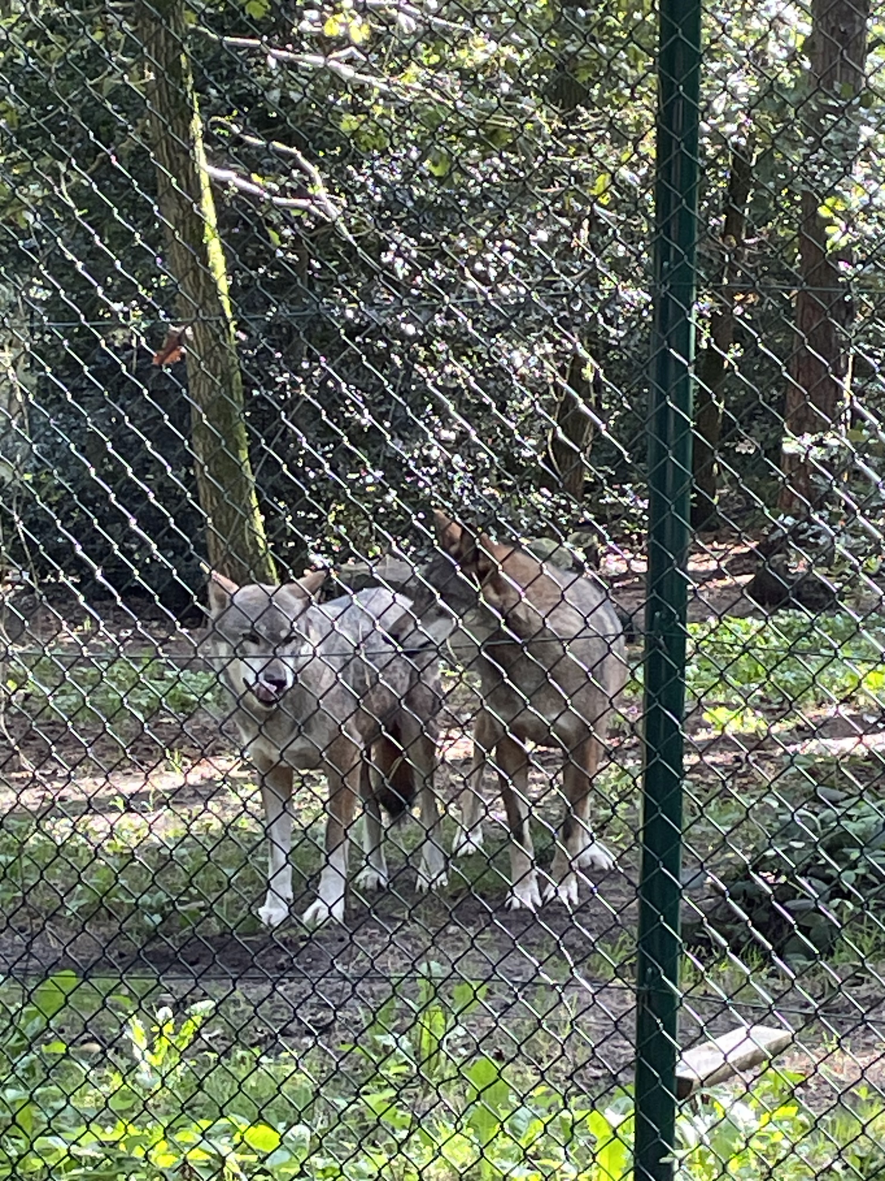 Photo n° 40 de l'avis de catherine.h fait le 22/08/2023 à 10:19