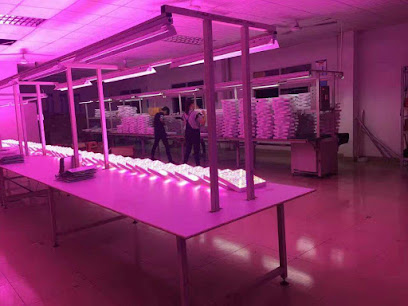 LED植物灯实验农场