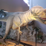 Photo n° 1 de l'avis de genevieve.r fait le 15/08/2022 à 17:44 pour Musée des Dinosaures d'Espéraza à Espéraza