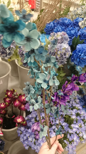 Craft Store «Michaels», reviews and photos, 6717 Spring Mall Dr, Springfield, VA 22150, USA